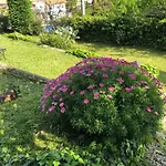 Bed&Breakfast Chambres d\'hôtes COTTAGE BELLEVUE