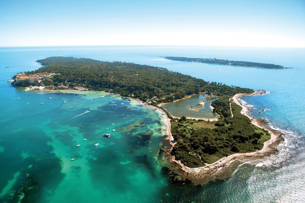 D'hôtes Bellevue Cannes
